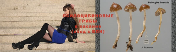 МДПВ Карпинск