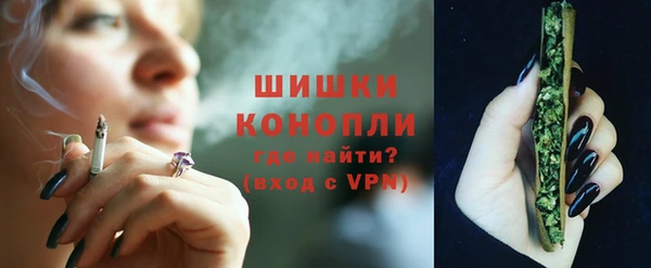 МДПВ Карпинск