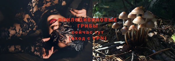 герыч Касимов