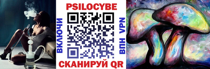 Купить Полярный Галлюциногенные грибы MAGIC MUSHROOMS